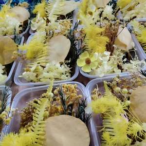 Kit de fleurs séchées naturelles blanches, boîte de matériaux de fleurs séchées préservées pour la fabrication artisanale de résine, la fabrication de bougies, la décoration de cadres <span class=keywords><strong>photo</strong></span> - Product Image 2