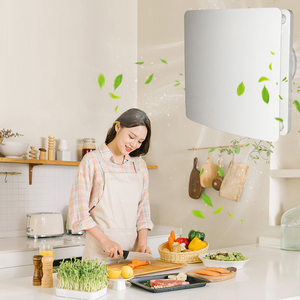 Customizable Ductless Exhaust Fan Bedroom <b>Wall</b> Mount or Ceiling Mount Small <b>Light</b> Bathroom Fan - Product Image 4