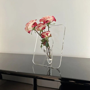 A0426 - Florero Rectangular con Esquinas Redondeadas de Acrílico para Fotos, Decoración Nórdica, Florero Hidropónico Simple para Escritorio, Marco para Flores - Product Image 5