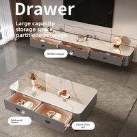 2025 luxe maison salon Table basse haut de gamme meuble TV et armoire combinaison pour petits appartements