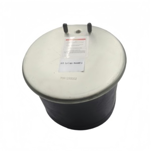 Pièces de suspension de camion de haute qualité E4713 4713 W01-M58-9706, ensemble de ressort pneumatique, piston pour Volvo - Product Image 4