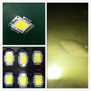 3000 K-3500 K warm trắng 12 V 40 Wát Power <span class=keywords><strong>Led</strong></span> cho Cá Bơn Ánh Sáng - Product Image 3