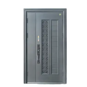 Puerta de seguridad de acero para negocios, proveedor Chino, precio barato, nuevo y moderno