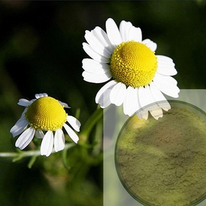 Erigeron อัลบัมสึปัสชนิดผง,ตัวอย่างฟรี98% อิเลคโทรนิคส์10%-98% - Product Image 1