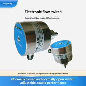 ステンレス製電子式プラグイン流量計（水、油、ガス、防火用、水槽向け） - Product Image 4