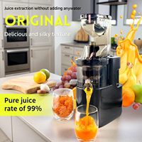 Extracteurs de jus à froid à mastication lente, haute performance, séparation pulpe/jus, pour la préparation de glaces aux fruits, multifonctionnels, usage domestique et commercial