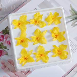 Fleurs décoratives stabilisées <span class=keywords><strong>Cymbidium</strong></span>, <span class=keywords><strong>prix</strong></span> d'usine en gros, naturelles et durables, 3-5 ans, pour la Fête des Mères - Product Image 4