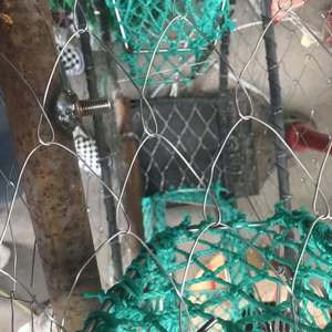Piège à crabes rond <span class=keywords><strong>en</strong></span> acier inoxydable à 3 entrées, robuste - Idéal pour la pêche commerciale côtière aux États-Unis, au Chili et au Royaume-Uni - Product Image 5