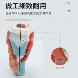 2 - Product Image 4