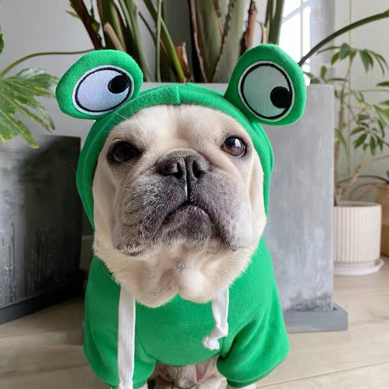 Sweat à capuche grenouille