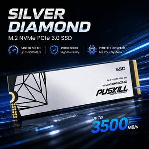 OEM ODM PUSKILL PCIe <span class=keywords><strong>3</strong></span>.0 NVMe M.2 SSD Internal Solid State Drive 256GB 512GB 1TB 2TB FCC CE RoHS Garansi <span class=keywords><strong>3</strong></span> Tahun - Product Image 1