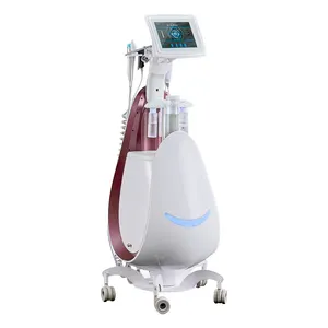 Customize Plastic And Metal 50Hz/60Hz Spray Water Oxygen Ultrasonic Facial Cleansing Machine