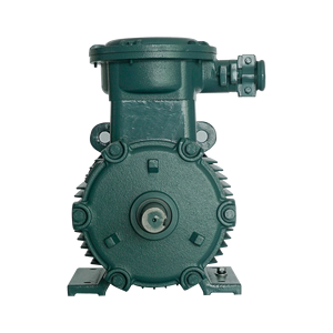Moteur antidéflagrant triphasé à induction OnlyPowerYBX4-80M1-2E IE3 BT4 0.75KW 1.1KW 380V/660V 50HZ - Product Image 4