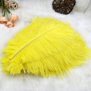 Pabrik Grosir 10-12 Inci (25-30Cm) Dekorasi Bulu Alami Berwarna Bulu Burung Unta dengan Harga Murah untuk Pernikahan Wal Dekorasi - Product Image 6