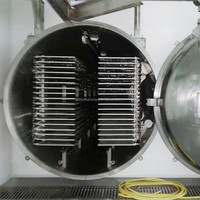 Ligne de production de fruits lyophilisés sous vide Machine de lyophilisation industrielle