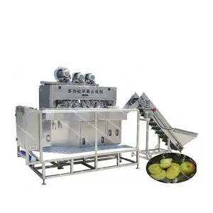 Factory Price Dry Fruit Apple Round CleaningとPeeling Slicer Production Line