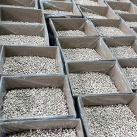 Friandises d'entraînement lyophilisées au poulet N4P de haute qualité pour chiens et chats, ingrédient unique, sans céréales, entièrement naturelles, faciles à déchiqueter