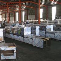 Rijst Industriële Magnetron Dehydratie Machine Droger Droger Magnetron Tunnel Droger Machine