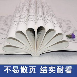 Diario classico di Lu Xun e commenti del Pazzo - Raccolta di romanzi letterari moderni ed essaggi giovanili, prodotto in Cina - Product Image 4