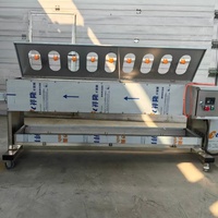 Machine à éplucher automatique pour carottes, ignames, manioc, pommes de terre et celtuce