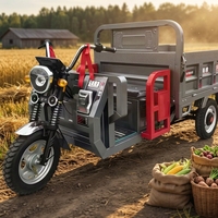 Kart électrique tout-terrain 750W 48V pour adultes avec batterie 20Ah, moteur BLDC, transmission par arbre, buggy des dunes, utilisation en extérieur, 70 km/h, charge 200 kg