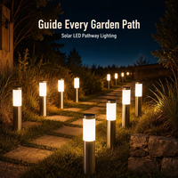 Lampes solaires d'extérieur LED étanches IP65 en acier inoxydable, lampadaires décoratifs, lampes solaires de jardin, éclairage de chemin