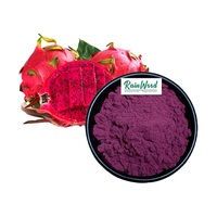 Poudre de Pitaya (fruit du dragon) Poudre de fruit de Pitaya Poudre de Pitaya rose