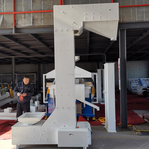 Elevador de Cangilones Tipo Z de Acero Inoxidable de Grado Alimenticio para el Transporte de Granos, Arroz, Nueces y Snacks, con Ahorro de Energía - Product Image 2