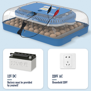 Lồng ấp trứng hộ gia đình nhỏ lồng ấp 70 miếng hoàn toàn tự động lồng ấp thông minh - Product Image 4