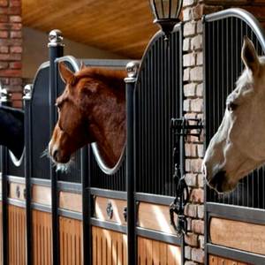 แผงม้าแบบพกพาพร้อมหลังคาม้าคอกและโรงนาม้า - Product Image 4