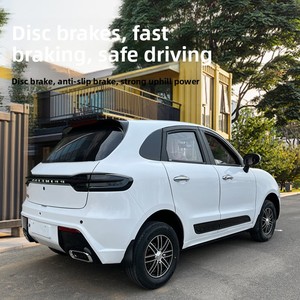 Vehículo Eléctrico de Nueva Energía para Adultos, Coche de Cuatro Ruedas para Uso Doméstico, Híbrido Gasolina-Eléctrico con Batería de Litio, Vehículo de Movilidad de 3.5-5 kW - Product Image 4