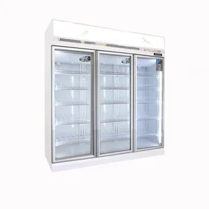 Thương Mại Removable Showcase 3 Cửa Thẳng Đứng Tủ Đông Mát