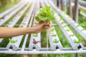 Système hydroponique Nft Pvc Gouttières Plantation <span class=keywords><strong>de</strong></span> légumes et graines <span class=keywords><strong>de</strong></span> fraises - Product Image 3