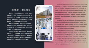 น้ำหอมกลิ่นขาว Bvlgari น้ำมันหอมระเหยบริสุทธิ์ติดทนนานตัวทำละลายน้ำหอมรถยนต์ - Product Image 6