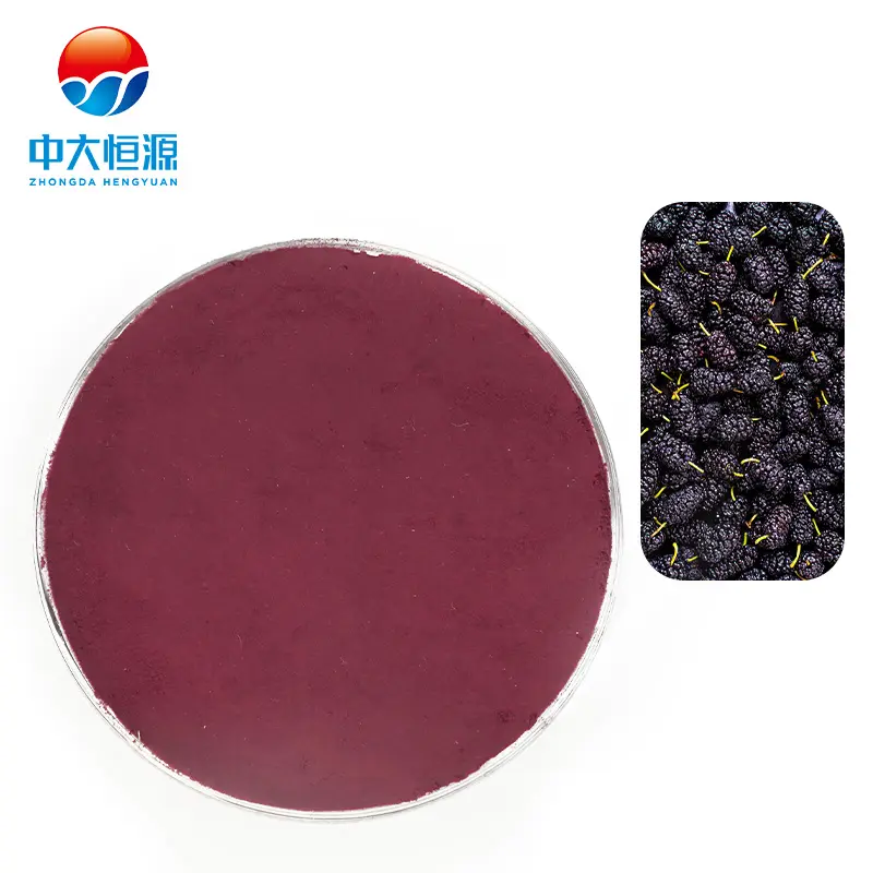 Natural Food Coloring Red Colorant Mulberry Fruit Flavor Powder