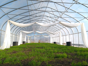 Serre en film plastique pour l'agriculture/la ferme/multi-spans/simple-span/tunnel pour les légumes/fleurs/tomates/jardins - Product Image 5