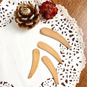 Espátula Mini para Crema Facial Cosmética, con Logotipo Personalizado, de Bambú, Desechable, Económica, Ecológica, Apta para Alimentos, Cuchara para Helado, 5 Piezas/Juego - Product Image 3