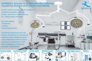 AURWEN LED <strong>Medical</strong> Theatre Pet Operating Light Electric Wall Mounted Veterinary Hospital Clinic Dental Examination <strong>Lamp</strong> For - Product Image 5
