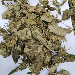 Hoja <span class=keywords><strong>de</strong></span> <span class=keywords><strong>Frambuesa</strong></span> - Product Image 2