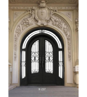 Personnalisation de nouveaux modèles de portes fenêtres en fer forgé Design de portes en fer Porte simple en fer