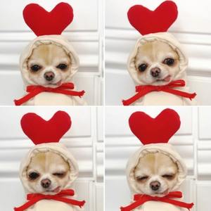 Venta al por mayor de ropa de verano de poliéster para perros y mascotas, sudaderas cálidas de invierno, ropa para cachorros para perros pequeños y medianos, sudaderas con capucha para perros - Product Image 6