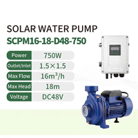 Pompe à eau solaire SCPM MPPT DC 48V 750W à haut débit 27m³/h, pompe centrifuge de surface pour système d'irrigation agricole