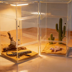 Wholesale Custom Made Fluorescent Yellow Acrylic Reptile Enclosures Magnetic Doors for Home - Product Image 4