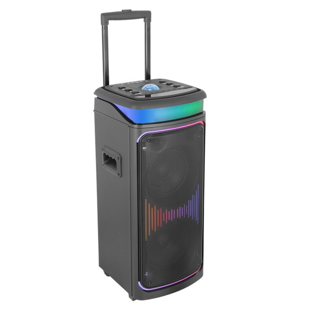 Diamond Private Model Dual 8inch Woofer 2-way Rgb Aurora Starlight Led Multifunction Portable Trolley bluetooth Speaker with Usb