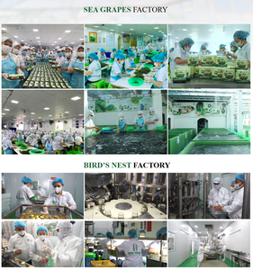 Okinawa Vietnam agricultura natural gránulo mar uvas extracto píldora Año Nuevo-todo el año vitamina C rico en vitamina grado alimenticio en tarro de vidrio - Product Image 6