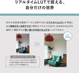 Cuerpo de Cámara Panasonic Lumix DC-S9 (Plata, DC-S9-S) - Product Image 4