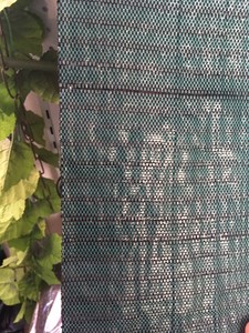 High Quality PP PE <b>Plastic</b> Ground <b>Cover</b> Fabric for Manufacturer Weed Mat - Product Image 5