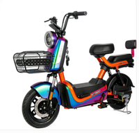 Vélo Électrique Urbain Adulte 500W Sans Balais 48V Cadre en Acier Roues 14 Pouces Frein à Tambour Moteur Moyeu Arrière Assistance au Pédalage Écran LCD