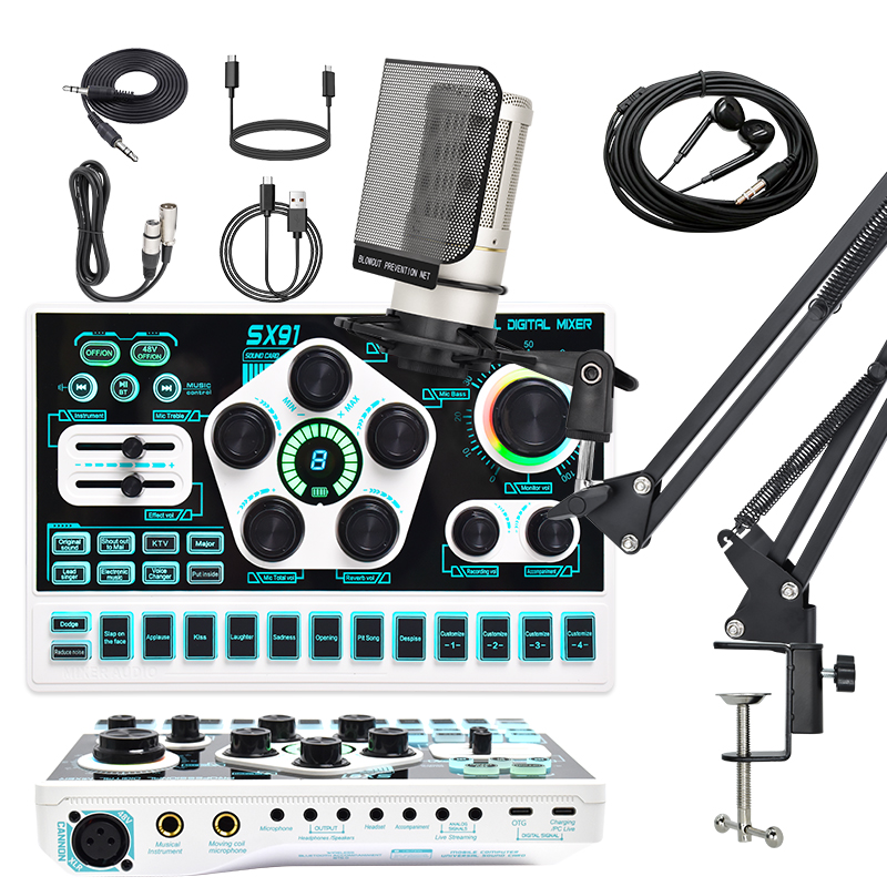 SX91 48V Live Sound Card - Condenser Microphone BM800 U87 ZX320