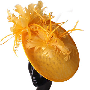 Chapeau haut de forme de mode de fête haut de gamme, chapeau noble en plumes pour femmes, pinces à cheveux, accessoires de tête, fascinateurs élégants pour femmes pour les mariages et les fêtes - Product Image 4